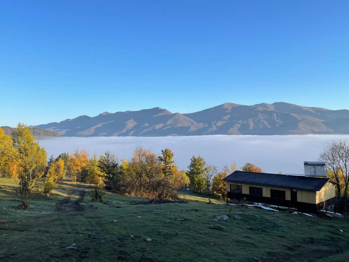 Glamping Wolf Mount Villa Margahovit Kamer foto