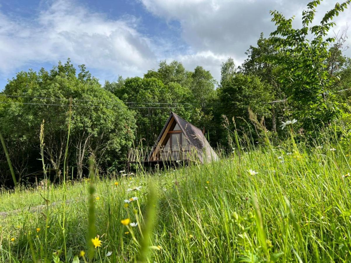 Glamping Wolf Mount Villa Margahovit Kamer foto