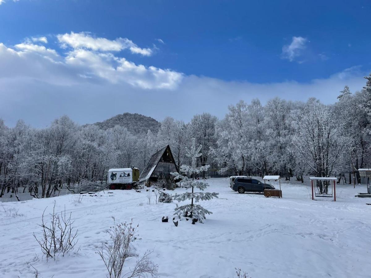 Glamping Wolf Mount Villa Margahovit Buitenkant foto