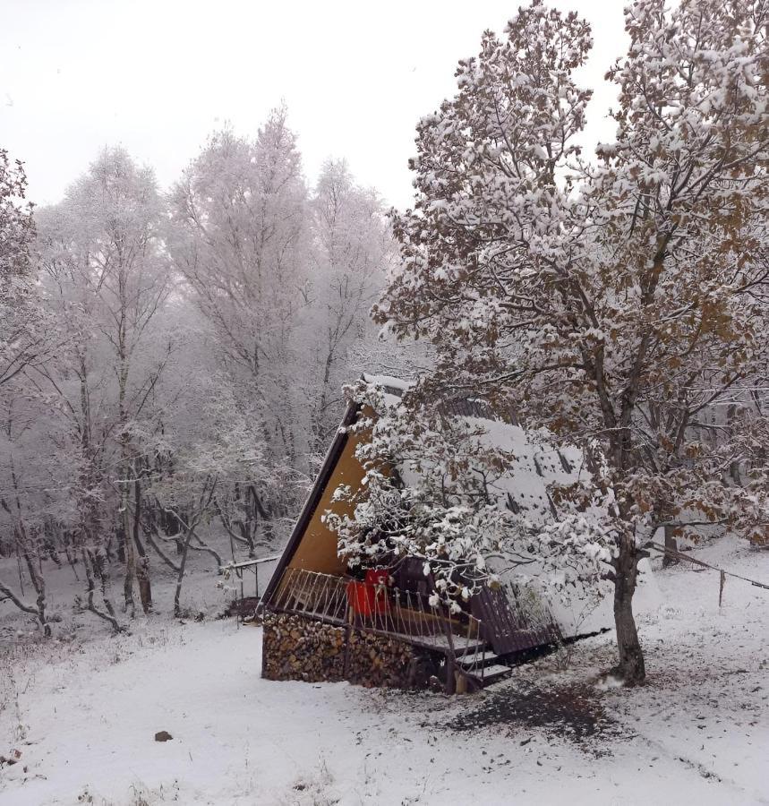 Glamping Wolf Mount Villa Margahovit Buitenkant foto