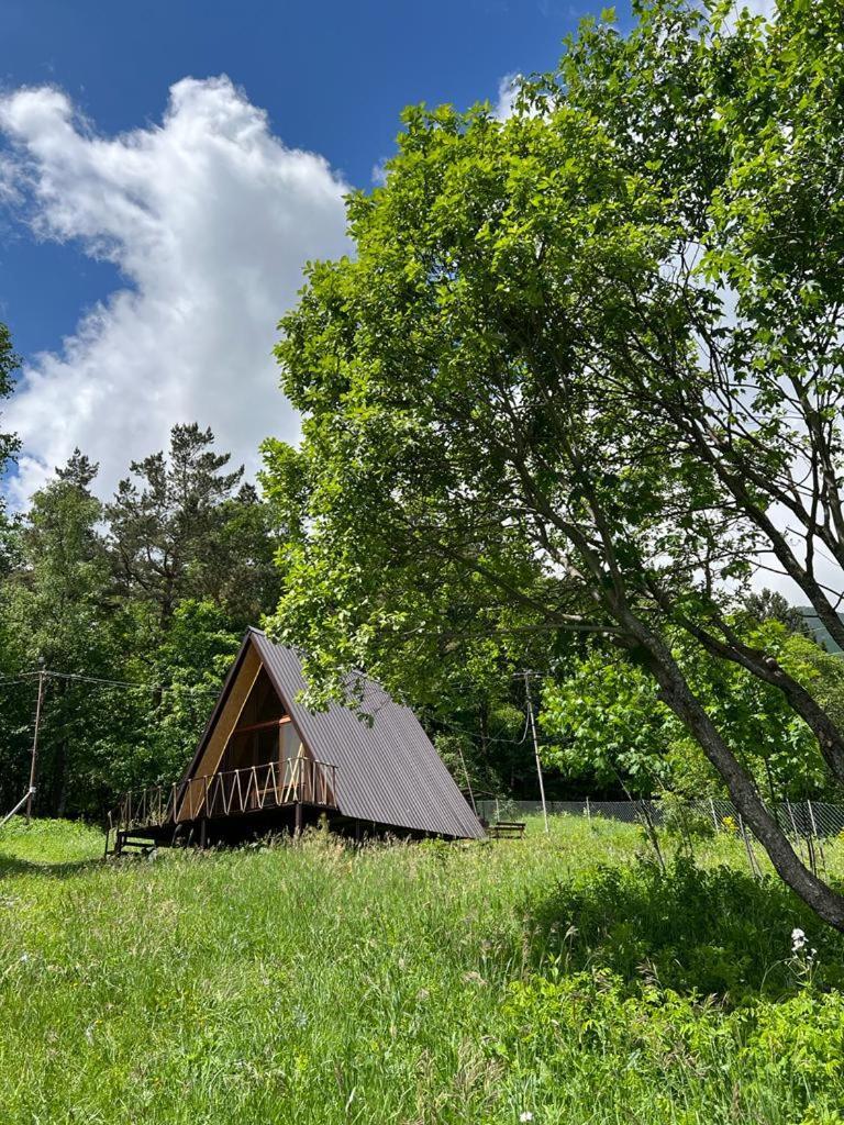 Glamping Wolf Mount Villa Margahovit Kamer foto