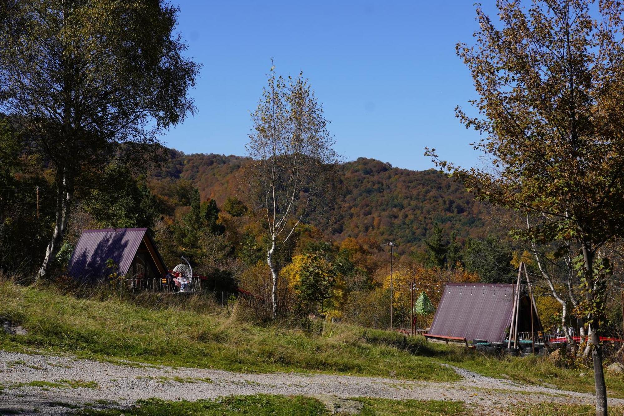 Glamping Wolf Mount Villa Margahovit Buitenkant foto